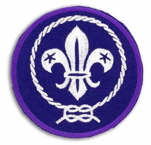 Hindu School Boys Scout